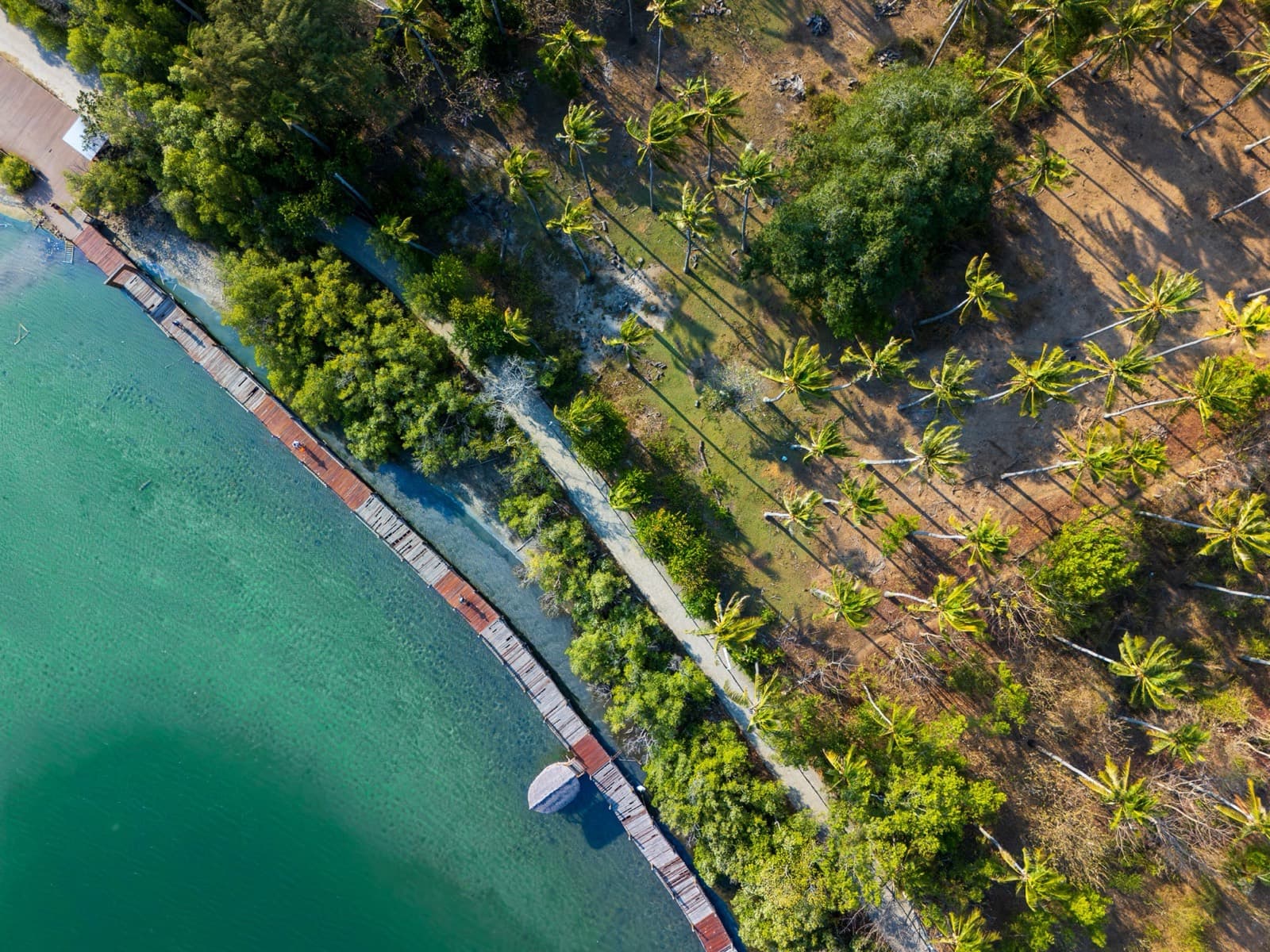 Houten steiger langs het water naast een palmbos, van boven